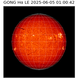 gong - 2025-06-05T01:00:42