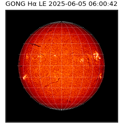 gong - 2025-06-05T06:00:42