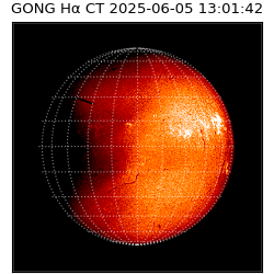 gong - 2025-06-05T13:01:42
