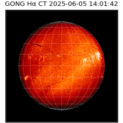 gong - 2025-06-05T14:01:42