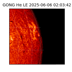 gong - 2025-06-06T02:03:42