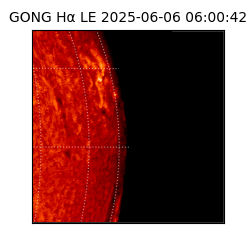 gong - 2025-06-06T06:00:42