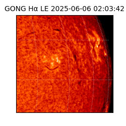 gong - 2025-06-06T02:03:42