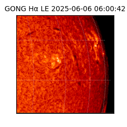 gong - 2025-06-06T06:00:42
