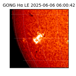 gong - 2025-06-06T06:00:42