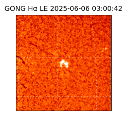 gong - 2025-06-06T03:00:42