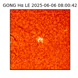 gong - 2025-06-06T08:00:42