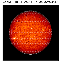 gong - 2025-06-06T02:03:42