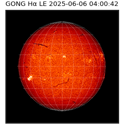 gong - 2025-06-06T04:00:42