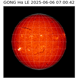 gong - 2025-06-06T07:00:42