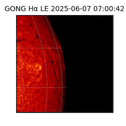 gong - 2025-06-07T07:00:42