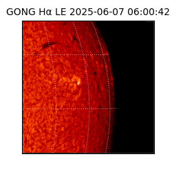 gong - 2025-06-07T06:00:42