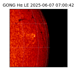 gong - 2025-06-07T07:00:42