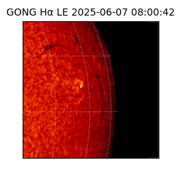 gong - 2025-06-07T08:00:42