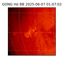 gong - 2025-06-07T01:07:02