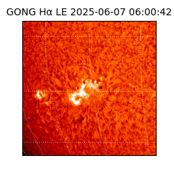 gong - 2025-06-07T06:00:42