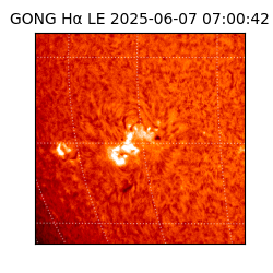 gong - 2025-06-07T07:00:42