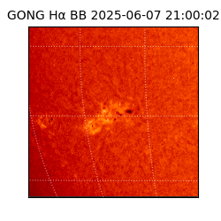 gong - 2025-06-07T21:00:02