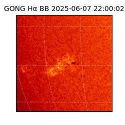 gong - 2025-06-07T22:00:02