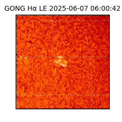 gong - 2025-06-07T06:00:42