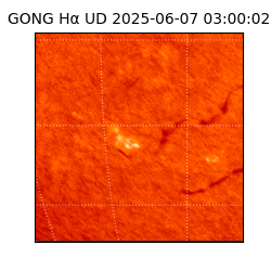 gong - 2025-06-07T03:00:02