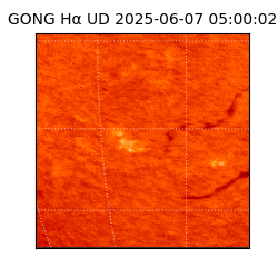 gong - 2025-06-07T05:00:02