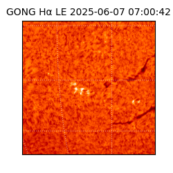 gong - 2025-06-07T07:00:42