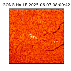 gong - 2025-06-07T08:00:42