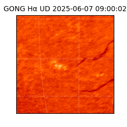 gong - 2025-06-07T09:00:02