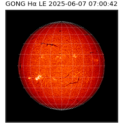 gong - 2025-06-07T07:00:42