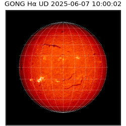 gong - 2025-06-07T10:00:02