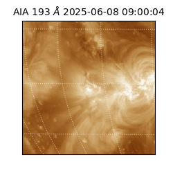saia - 2025-06-08T09:00:04.843000