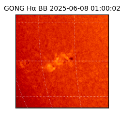 gong - 2025-06-08T01:00:02