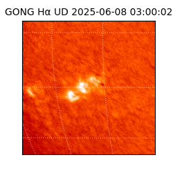 gong - 2025-06-08T03:00:02