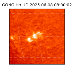 gong - 2025-06-08T08:00:02