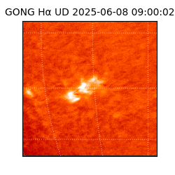 gong - 2025-06-08T09:00:02