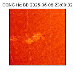 gong - 2025-06-08T23:00:02