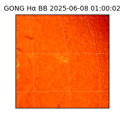 gong - 2025-06-08T01:00:02
