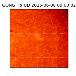 gong - 2025-06-08T09:00:02