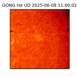 gong - 2025-06-08T11:00:02
