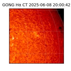 gong - 2025-06-08T20:00:42