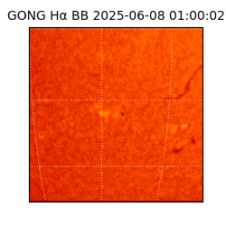 gong - 2025-06-08T01:00:02