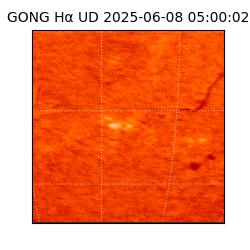 gong - 2025-06-08T05:00:02