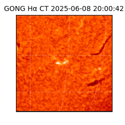 gong - 2025-06-08T20:00:42