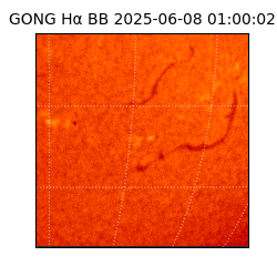 gong - 2025-06-08T01:00:02