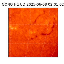 gong - 2025-06-08T02:01:02