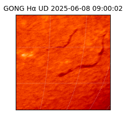 gong - 2025-06-08T09:00:02