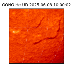 gong - 2025-06-08T10:00:02