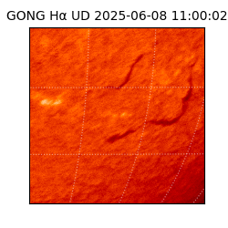 gong - 2025-06-08T11:00:02