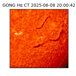gong - 2025-06-08T20:00:42
